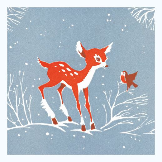 Christmas Animals Christmas card box (pack of 20, 4 designs)